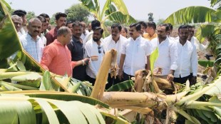 Nanded banana crop damage | MP Ravindra Chavan Nivgha visit | Mudkhed Ardhapur storm loss | Maharashtra farmer compensation demand