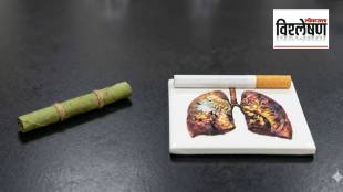 Herbal Cigarette Side Effects