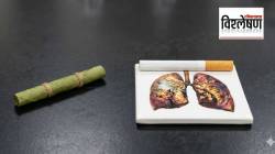 Herbal Cigarette: हर्बल सिगारेट तंबाखूच्या सिगारेटपेक्षा हानिकारक का आहे? ती हृदयविकार व श्वसनाच्या आजाराचे कारण का ठरते?