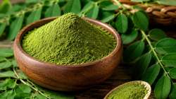 फक्त अर्धा चमचा शेवग्याच्या पानाची पावडर; रोगप्रतिकारक शक्तीपासून साखर नियंत्रणापर्यंत मिळू शकतात ‘हे’ जबरदस्त फायदे