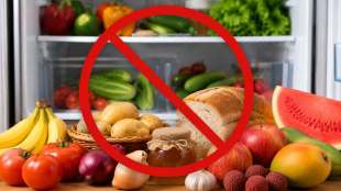 Refrigerator Storage Tips