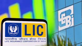 Rajesh Exports SEBI Interim Report | Rajesh Mehta SEBI Investigation | LIC Investment in Rajesh Exports | Corporate Revenue Fraud India