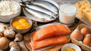 Vitamin D Rich Food