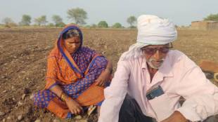 kasahinath gaikwad bombali village devni | hausabai gaikwad plowing field photo | ox dies due to lightning strike chhatrapati sambhajinagar | maharashtra farmer family crisis loksatta news