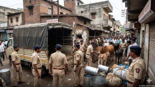 Miraj Sangli beef seized police raid | Cattle rescue operation Momin Bokad Chowk | Sangli police crime investigation updates | Illegal slaughterhouse action Maharashtra Crime News
