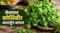 आहारात करा कोथिंबिरीचा समावेश; शरीराला मिळतील अनेक आरोग्यदायी लाभ