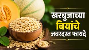 muskmelon seeds benefits