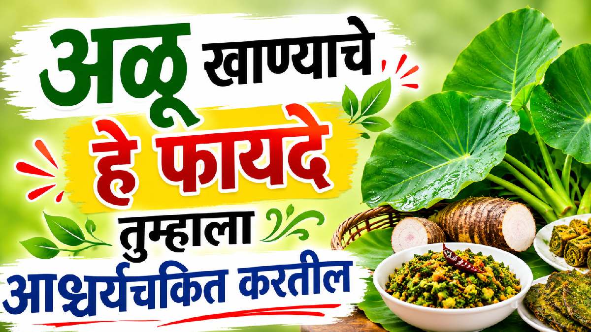 हृदय, हाडे आणि पचनासाठी अळूची पाने ठरतात वरदान! चव आणि आरोग्याचा दुहेरी फायदा