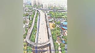 Thane Ring Metro route map updates | Mumbai Metro Line 4 and 5 connection | Thane infrastructure development traffic congestion | Maharashtra urban transport project controversy