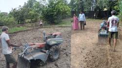 मृग नक्षत्र कोरडेच ; पावसाअभावी वसईत भात पेरण्या खोळंबल्या ; वाढत्या खर्चामुळे शेतकरी दुहेरी संकटात; ‘अल निनो’च्या सावटामुळे चिंता वाढली