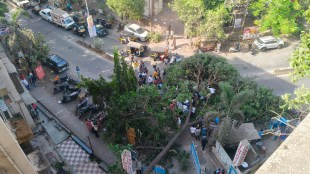 Dombivli Manpada Road tree collapse | Icon Hospital Dombivli accident | Rickshaw crushed under tree Dombivli | Kalyan Dombivli civic news regional updates