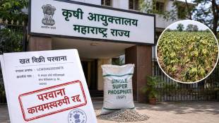 Jalgaon fertilizer company license cancelled | Agriculture commissioner Suraj Mandhare order Sardar Agro | Jamner farmers cotton crop damage fertilizer case | Fertilizer Control Order 1985 Maharashtra action
