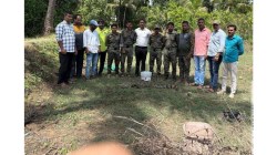 विहिरीतून १५ पिल्लांसह ८ फुटी महाकाय मगरीला जीवदान; सावंतवाडीत वन विभागाची यशस्वी मोहीम