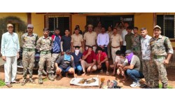 सावंतवाडीत वनविभागाची मोठी कारवाई, आंबोली-दोडामार्गात साळिंदर, भेकरची शिकार करणारी टोळी जेरबंद; आलिशान कार जप्त