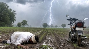 Jalgaon Amalner farmer death by lightning strike | Shahapur village lightning accident Maharashtra | Rakesh Ratilal Patil Jalgaon farmer news | Maharashtra monsoon lightning strike incident