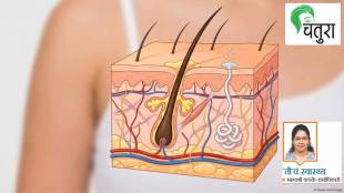 Human skin anatomy inside story details | Hair growth cycle and control tips | Sebum production and oily skin remedies | Sweat glands functions and body temperature control