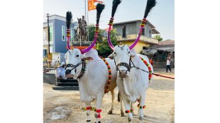 Sant Nivruttinath Maharaj Palkhi Sohala Nashik | Ashadhi Wari Pandharpur | Trimbakeshwar to Pandharpur Palkhi | Maharashtra Ashadhi Ekadashi Festival