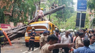 mumbai chembur tree collapse on school van | chembur diamond garden school bus accident | mumbai fire brigade rescue operation | mumbai civic news today live updates