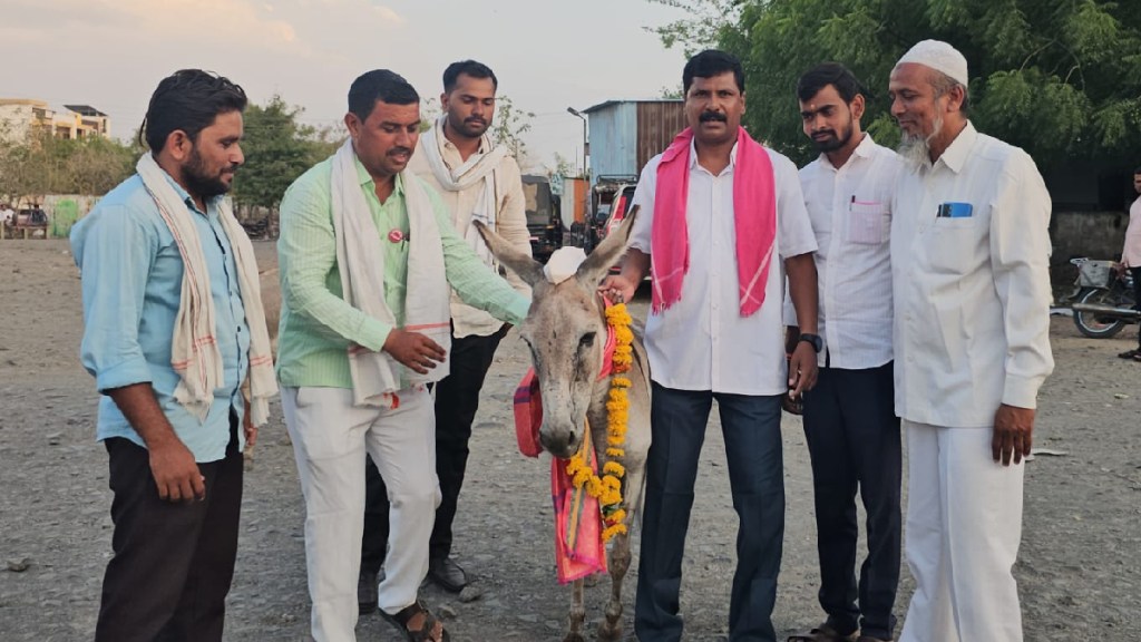 Parbhani farmers protest donkey garland loan waiver | Sonpeth agitation Devendra Fadnavis order burnt | Maharashtra farmer loan waiver rules opposition | Bharat Rashtra Kisan Samiti Shetkari Sanghatana protest Parbhani Parbhani farmers protest donkey garland loan waiver | Sonpeth agitation Devendra Fadnavis order burnt | Maharashtra farmer loan waiver rules opposition | Bharat Rashtra Kisan Samiti Shetkari Sanghatana protest Parbhani