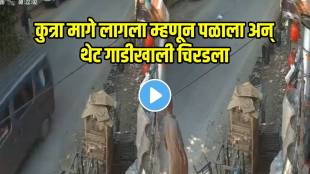 Shocking video Stray Dogs Chased Young Man Runs Across Road Meets With Serious Accident Cctv Video Viral