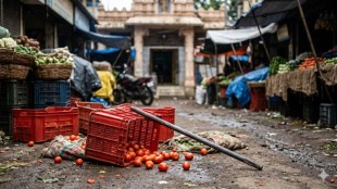 bhayandar vegetable market murder case navghar police | tomato crate dispute vendor santosh singh death | accused dhiraj gupta arrested bns sections maharashtra | wockhardt hospital mira road crime investigation