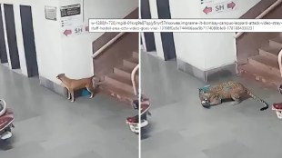 image-from-cctv-footage-iit-bombay-campus-leopard