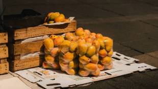 Japan Banned Indian Mangoes