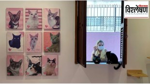 Japan cat economy nekonomics market growth | Maneki Neko cat cafe Tokyo tourism | Katsuhiro Miyamoto cattonomics analysis | Manisha Devne Loksatta business news
