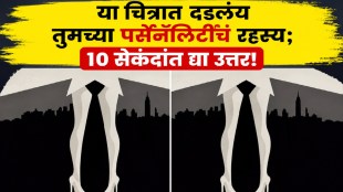Optical illusion personality test image revealing hidden personality traits based on first impression