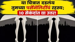 Optical Illusion: ‘हे’ कोडे उघड करेल तुमच्या व्यक्तिमत्त्वाचे रहस्य; १० सेकंदांत शोधून दाखवा उत्तर..