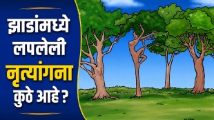 Optical illusion challenge hidden dancer among trees visual puzzle observation test image