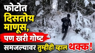 Viral optical illusion photo showing an animal in snow that looks like a running man