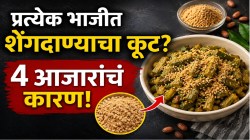 बायकांनो, प्रत्येक भाजीत शेंगदाण्याचा कूट घालता? ‘ही’ सवय ठरू शकते ४ आजारांचं कारण; ‘या’ लोकांसाठी सायलेंट धोका!