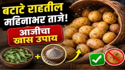 बटाटे लवकर सडतात? आजीच्या बटव्यातील ‘हा’ उपाय करेल कमाल; महिनाभर राहतील ताजे, मोडही येणार नाही