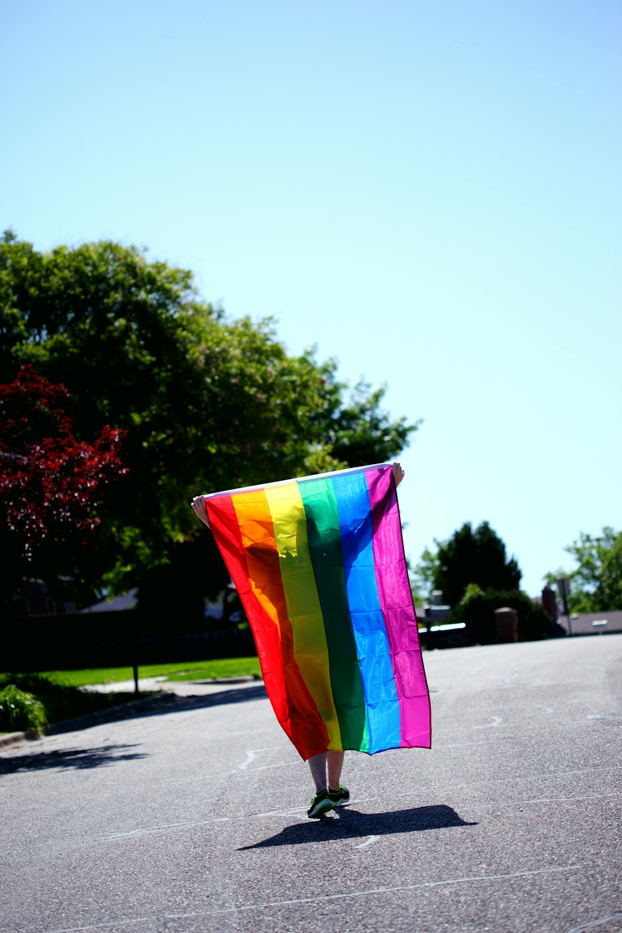 Pride Month 2026 LGBTQ Movies