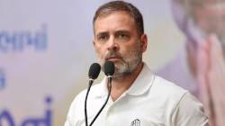 “देशात भयंकर आर्थिक त्सुनामी येणार”, राहुल गांधी यांचा मोठा दावा; भाजपाने प्रत्युत्तर देत काँग्रेसला सुनावलं