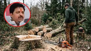 MNS protest against tree cutting in Vani Yavatmal | Raju Umbarkar MNS Yavatmal environment agitation | Vani municipal council tree cutting controversy | Yavatmal Marathi news google discover trend