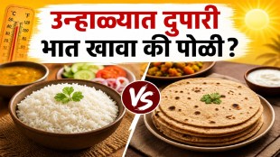 Rice Vs Roti For Summer Lunch Benefits For Digestion Hydration And Better Health