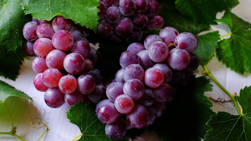 Ruby Roman Grapes