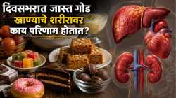 दिवसभरात जास्त गोड खाताय? यकृत, हृदय आणि किडनीवर होतायत ‘हे’ गंभीर परिणाम