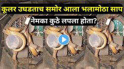 बापरे! कूलरच्या आत भलामोठा दिसला साप आणि उडाली झोप; पण तो नेमका कुठे दडून बसला होता, हे पाहून थरकाप उडेल; पाहा VIDEO