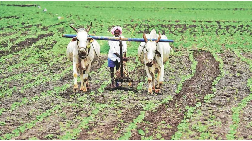 Maharashtra Monsoon Update