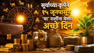 Surya Gochar 2026 IMPACT