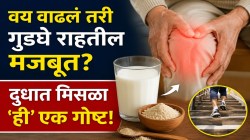 वय वाढलं तरी गुडघे मजबूत राहतील! दुधात मिसळून प्या ‘ही’ गोष्ट; ६० व्या वर्षीही जिने चढा सहज, ‘कट-कट’ आवाज होईल कमी