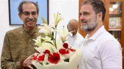 ‘ठाकरे गट काँग्रेसमध्ये विलीन होण्याचा विचार करत होता?’, बंडखोर खासदारांनी लोकसभा अध्यक्षांना काय सांगितलं?