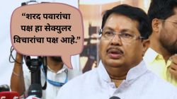शरद पवारांच्या राष्ट्रवादीचे काँग्रेसमध्ये विलिनीकरणाबाबत चर्चा सुरु; पटोले यांच्यानंतर वडेट्टीवारांचे मोठे वक्तव्य, म्हणाले, “हायकमांड…”