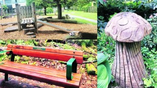 World Environment Day climate change awareness | Canada nature conservation forest trail | India pollution control steps | Eco friendly lifestyle green energy global warming