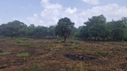 रायगडमध्ये जूनच्या सरासरीच्या तुलनेत २ टक्केच पाऊस; धरणांमधील पाणीसाठा १९ टक्क्यांवर, पाणी संकट गंभीर