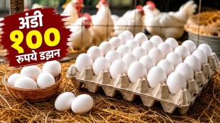 thane egg prices hike one hundred rupees