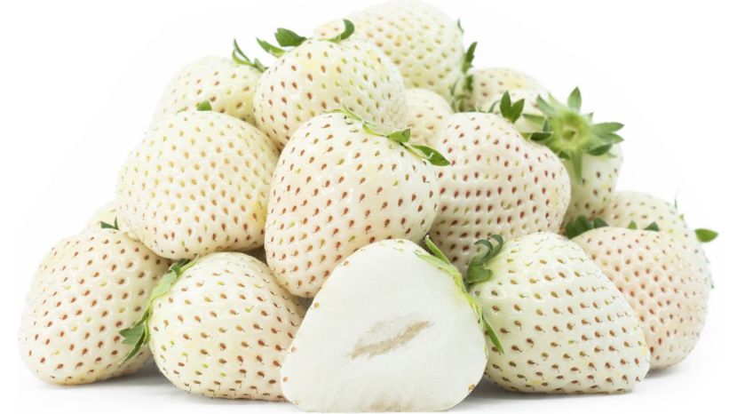 White Jewel Strawberry
